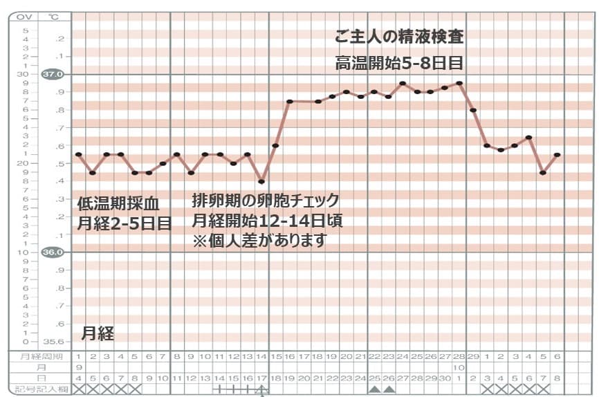 基礎体温 下がった 生理こない