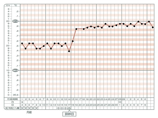 高温期が続くタイプ基礎体温グラフ
